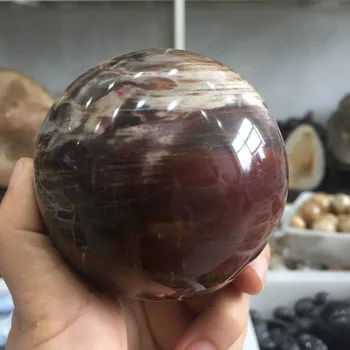 High quality large size natural stones and minerals wood fossil ball healing crystal sphere for home decoration&party decor
High quality large size natural stones and minerals wood fossil ball healing crystal sphere for home decoration&party decor