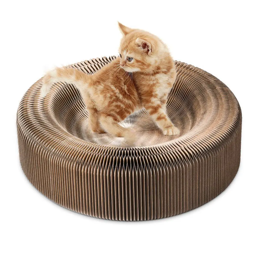IALJ Top Portable Cat Scratcher Lounge Collapsible Cardboard Scratcher Toy Cat Scratching Pad Cats Turbo Toys
IALJ Top Portable Cat Scratcher Lounge Collapsible Cardboard Scratcher Toy Cat Scratching Pad Cats Turbo Toys