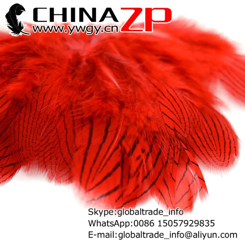 Gold Manufacturer CHINAZP Factory 500pcs/lot 8~10cm Length Best Quality Dyed Red Decorative Silver Pheasant Plumes Feathers
Gold Manufacturer CHINAZP Factory 500pcs/lot 8~10cm Length Best Quality Dyed Red Decorative Silver Pheasant Plumes Feathers