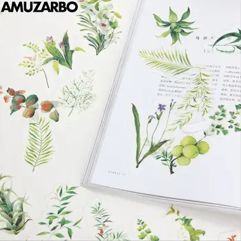 Large size plant illustration Original Literary handbook material paper stickers 34 pieces school students stationery supplies
Large size plant illustration Original Literary handbook material paper stickers 34 pieces school students stationery supplies