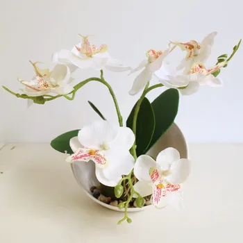 Trident Phalaenopsis Creative Bonsai Simulation Flower Manufacturers Simulation Plant Potted Plants 
Trident Phalaenopsis Creative Bonsai Simulation Flower Manufacturers Simulation Plant Potted Plants