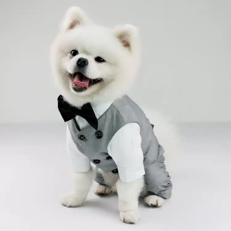 Traje De Boda Para Perro Y Nino Ropa Para Perros Para Matrimonio Ropa Para Mascotas Mono Chaleco Abrigo Gato Chihuahua Caniche Pug Chaqueta De Bulldog Frances Aliexpress