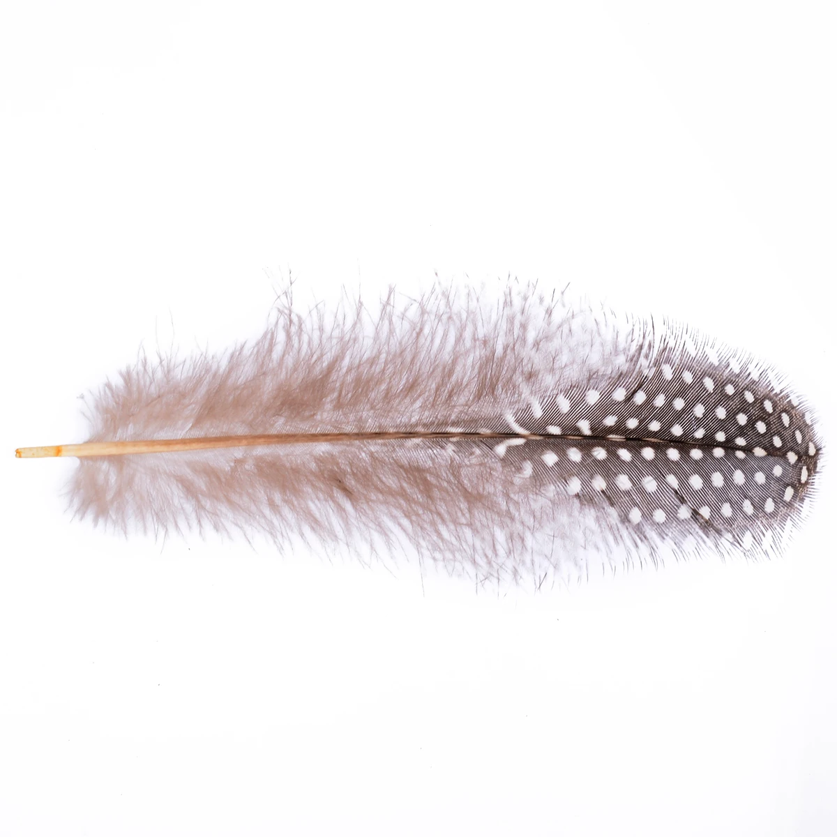 50pcs Spotted Guinea Fowl Plumage Feathers Millinery 4.5-10cm For Crafts DIY Bags Clothes Decorations