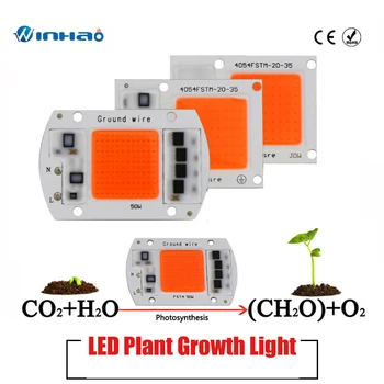 Smart IC AC COB LED Strip 20W 30W 50W 220V Driverless DIY Flood Light Hight power LED COB Diode Warm white full spectrum
Smart IC AC COB LED Strip 20W 30W 50W 220V Driverless DIY Flood Light Hight power LED COB Diode Warm white full spectrum