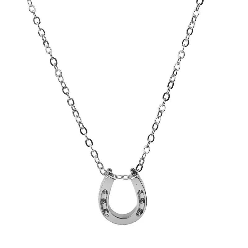 Lucky Horseshoe Sparkling Pendant Necklace Silver Plated Charm Clavicle Chains Statement Necklace Women New Year Gift Jewelry
Lucky Horseshoe Sparkling Pendant Necklace Silver Plated Charm Clavicle Chains Statement Necklace Women New Year Gift Jewelry