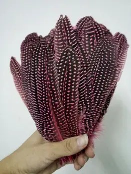 Hot! Sales 200 pc beautiful pink guinea fowl wings - feathers, 6-8"/ 15-20CM DIY Jewelry Decoration Accessories
Hot! Sales 200 pc beautiful pink guinea fowl wings - feathers, 6-8"/ 15-20CM DIY Jewelry Decoration Accessories