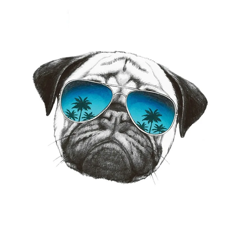Pegatina De Perro Pug De Dibujos Animados En La Ropa Lavable Nuevo Diseno Diy Accesorio Ropa Deco Insignias De Transferencia De Calor Apliques Aliexpress
