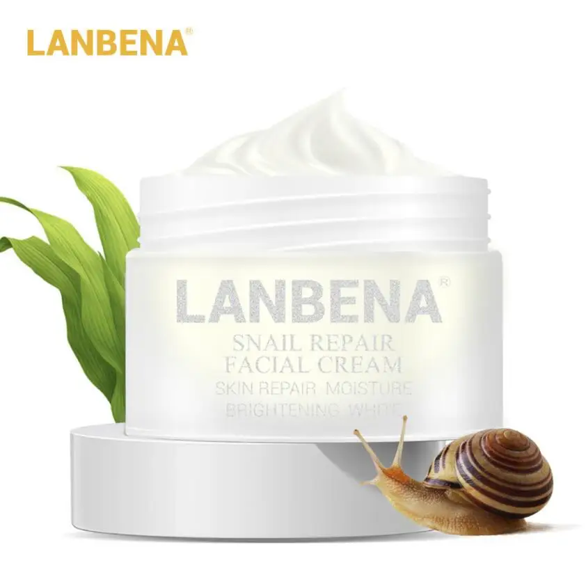 Snail Cream Peptide Anti Aging Anti Wrinkle Facial Cream Skin Whitening Lifting Firming Acne Treatment Hyaluronic Acid
Snail Cream Peptide Anti Aging Anti Wrinkle Facial Cream Skin Whitening Lifting Firming Acne Treatment Hyaluronic Acid