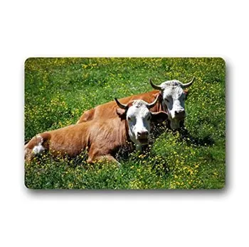 Fashion Living Room Doormat Milk Cow Pasture 40x60cm Doormat Custom Door mat Home decor Carpet Fashion Rug
Fashion Living Room Doormat Milk Cow Pasture 40x60cm Doormat Custom Door mat Home decor Carpet Fashion Rug