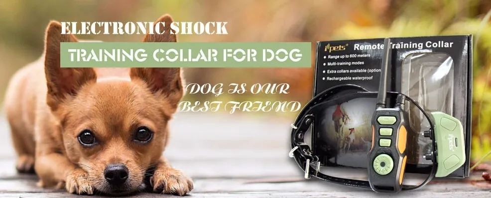 Remote_Dog_Training_Collars_Wellturn_618
