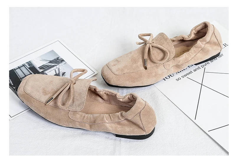 8600816899_2036437260