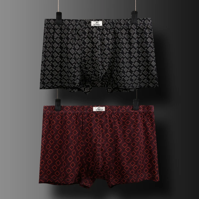 boxer (6)