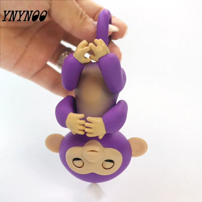 4655166065_1384649801