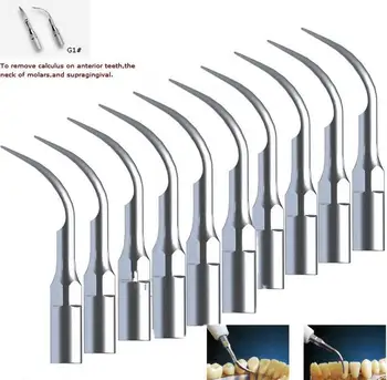 Free shipping 10 PCS Dental Ultrasonic Scaler Scaling Tips G1 Fit EMS Woodpecker Scaler 
Free shipping 10 PCS Dental Ultrasonic Scaler Scaling Tips G1 Fit EMS Woodpecker Scaler