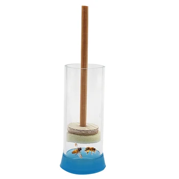 2PCS Plastic Queen Bee Marking Bottle Wooden Stick With Sponge No Harm For Queen Bee Beekeeping Marking Tools
2PCS Plastic Queen Bee Marking Bottle Wooden Stick With Sponge No Harm For Queen Bee Beekeeping Marking Tools