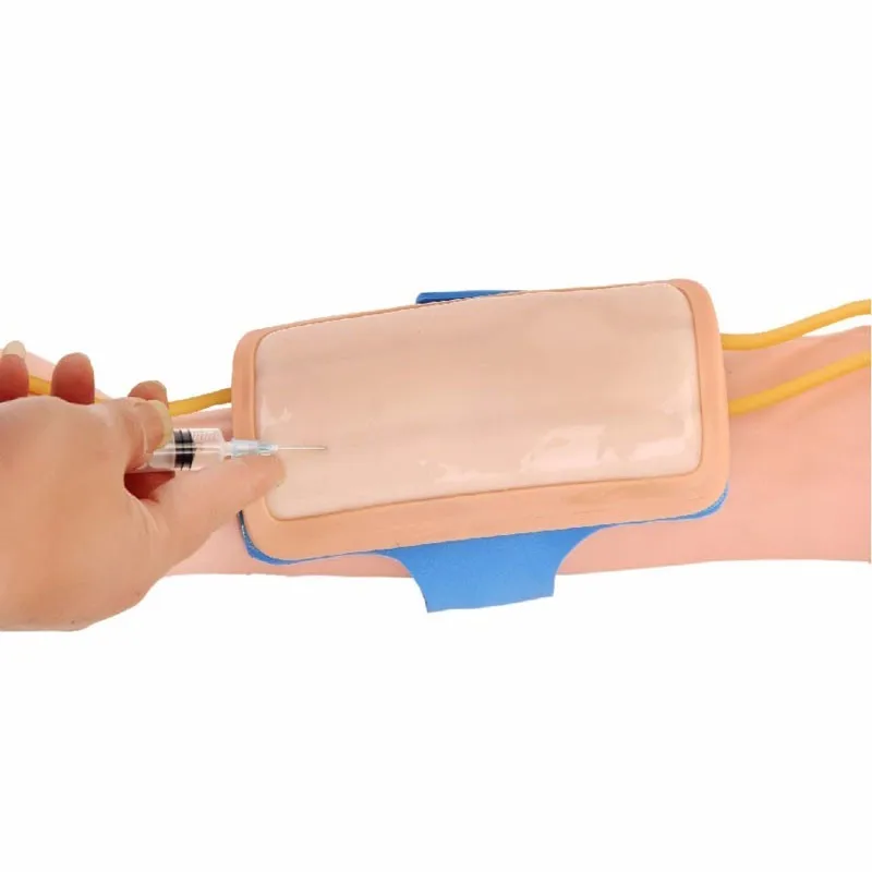 Forearm venous puncture skin model Injection infusion practice module with blood vessels
Forearm venous puncture skin model Injection infusion practice module with blood vessels