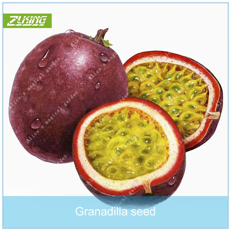 ZLKING 5pcs Passionflower Fruit Bonsai Plants For Home Garden Exotic Plant Species Fast Growing Garden Plants
ZLKING 5pcs Passionflower Fruit Bonsai Plants For Home Garden Exotic Plant Species Fast Growing Garden Plants