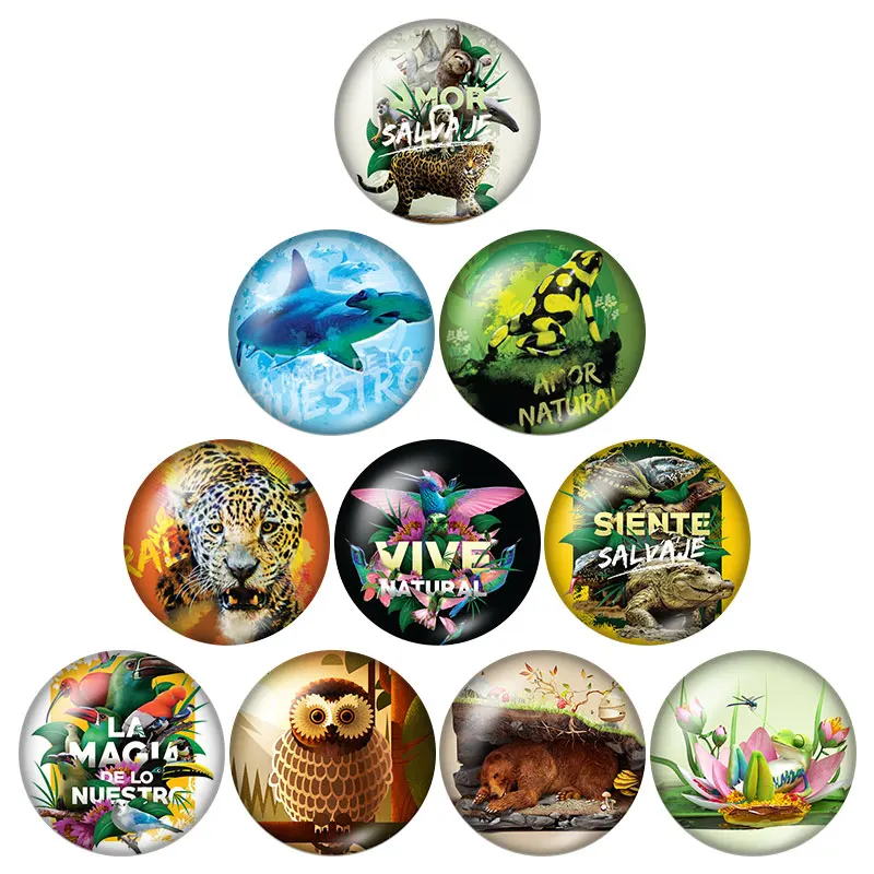 New Forest wild beast Animals 10pcs mixed 12mm/16mm/18mm/25mm Round photo glass cabochon demo flat back Making findings ZB0634
New Forest wild beast Animals 10pcs mixed 12mm/16mm/18mm/25mm Round photo glass cabochon demo flat back Making findings ZB0634