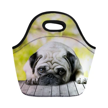 NOISYDESIGNS Soft Small Bulldog Printing Lunch Bags for Kids School Thermal Insulate Food Carry Lunchbags Woman Picnic Totes
NOISYDESIGNS Soft Small Bulldog Printing Lunch Bags for Kids School Thermal Insulate Food Carry Lunchbags Woman Picnic Totes