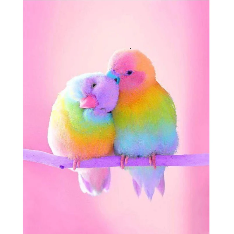 GLymg 5d Diamond Embroidery DIY Embroidery Bright Rhinestones Diamond Art Bird In Love Wall Arts Decor
GLymg 5d Diamond Embroidery DIY Embroidery Bright Rhinestones Diamond Art Bird In Love Wall Arts Decor