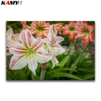 Full Round Diamond painting flowers Full Square Diamond embroidery Cross stitch white DIY 3D Diamond mosaic lily
Full Round Diamond painting flowers Full Square Diamond embroidery Cross stitch white DIY 3D Diamond mosaic lily