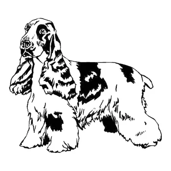 22.9*20.2CM King Charles Spaniel Dog Vinyl Decal Art Creative Car Stickers Bumper Motorcycle Car Styling Black/Silver S1-0498
22.9*20.2CM King Charles Spaniel Dog Vinyl Decal Art Creative Car Stickers Bumper Motorcycle Car Styling Black/Silver S1-0498