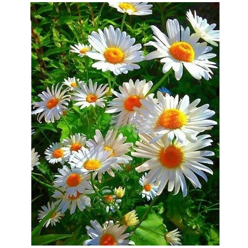 Rhinestone Mosaic daisy flower Cross Stitch mosaic fulldiamond embroidery sale 5d diy diamond Painting wedding decorationZP-2937
Rhinestone Mosaic daisy flower Cross Stitch mosaic fulldiamond embroidery sale 5d diy diamond Painting wedding decorationZP-2937