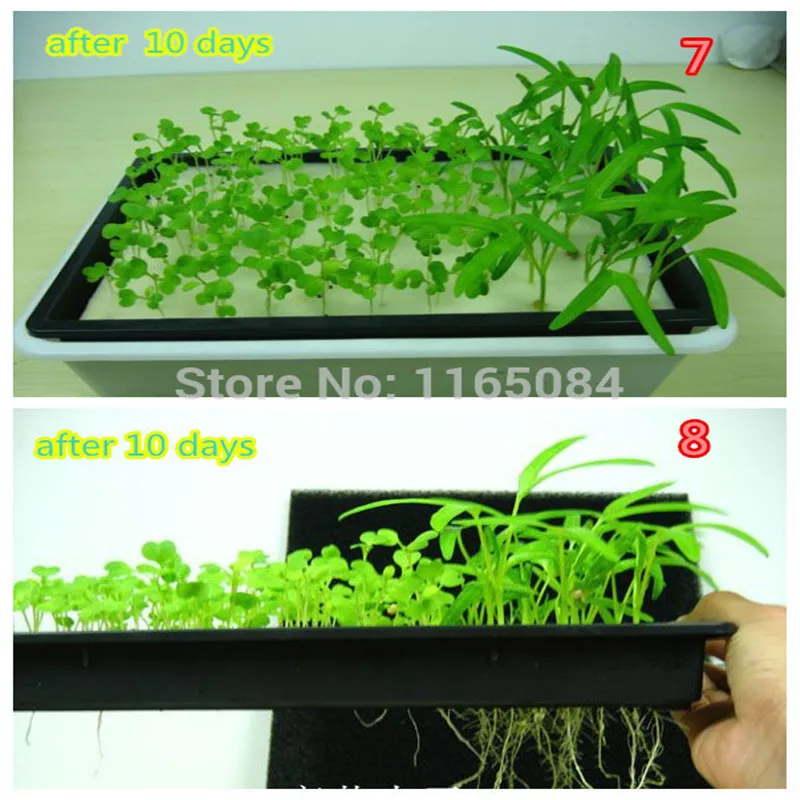 DYSB35.88USD12colours Plastic hook size size breathable and durable plant basin garden Supplies 35.88USD baile li 11.8
DYSB35.88USD12colours Plastic hook size size breathable and durable plant basin garden Supplies 35.88USD baile li 11.8