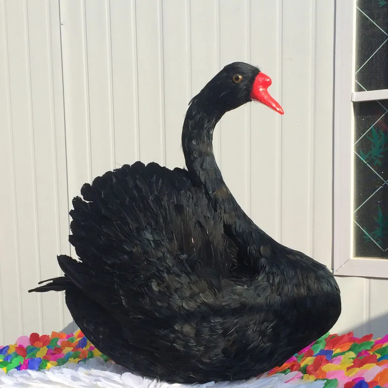 large 70x65cm black feathers swan model foam&feathers swan handicraft,home garden decoration gift a2675
large 70x65cm black feathers swan model foam&feathers swan handicraft,home garden decoration gift a2675