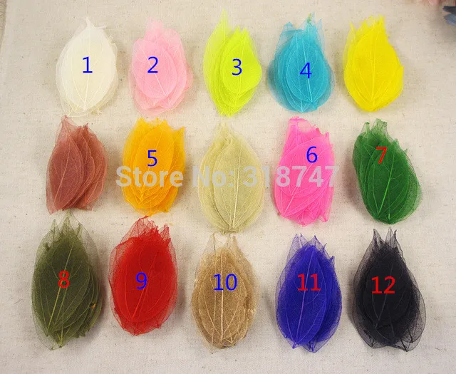 Approx 6.5*3cm Organic Craft Assorted Colors Natural Skeleton Leaves DIY Home Decoration/Card Making 056004
Approx 6.5*3cm Organic Craft Assorted Colors Natural Skeleton Leaves DIY Home Decoration/Card Making 056004