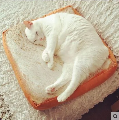 Creative Bread Toast Seat Cushion for Adult Women and Her Pet Cat Dog with Inner Filled Soft Material Polyester Pillow Toy 40cm
Creative Bread Toast Seat Cushion for Adult Women and Her Pet Cat Dog with Inner Filled Soft Material Polyester Pillow Toy 40cm
