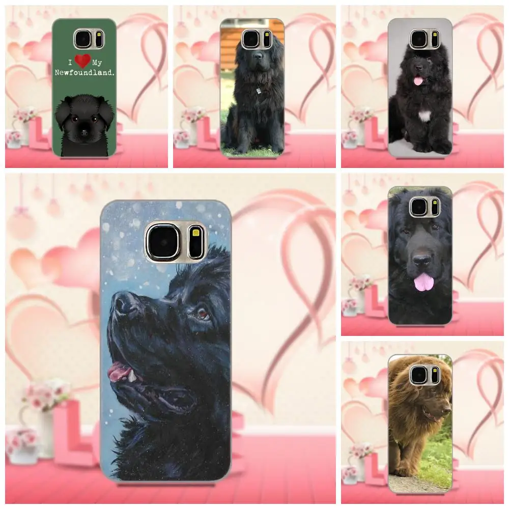 Oedmeb Newfoundland Dog Puppy Soft Top Selling For Galaxy A3 A5 A7 J1 J3 J5 J7 2016 2017 S5 S6 S7 S8 S9 edge Plus
Oedmeb Newfoundland Dog Puppy Soft Top Selling For Galaxy A3 A5 A7 J1 J3 J5 J7 2016 2017 S5 S6 S7 S8 S9 edge Plus