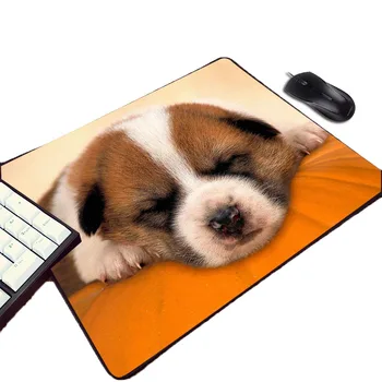 Mairuige Creative Photo Pattern Images Printed Diy Rubber Pc Comuter Game Mousepad Animals Pet Dogs Cat Table Mouse Pad Mice Mat
Mairuige Creative Photo Pattern Images Printed Diy Rubber Pc Comuter Game Mousepad Animals Pet Dogs Cat Table Mouse Pad Mice Mat