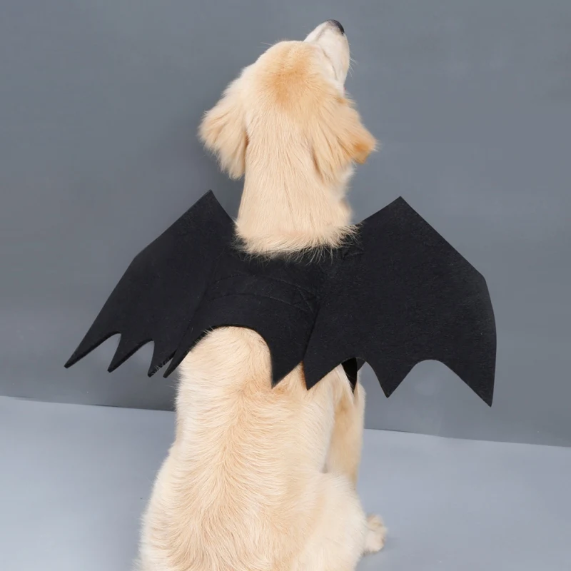 Pet Cat Dogs Halloween Cosplay Funny Costume For Dog Cats Puppies Kittens Black Bat Wings
Pet Cat Dogs Halloween Cosplay Funny Costume For Dog Cats Puppies Kittens Black Bat Wings