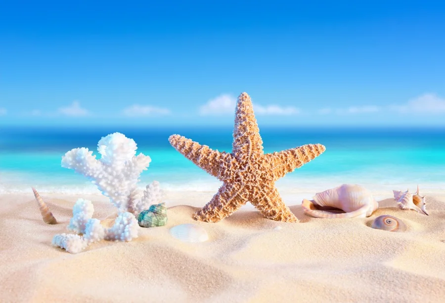 Laeacco Tropical Backdrops Sand Starfish Shell Beach Cloud Blue Sky Scenic Photographic Backgrounds Photocall For Photo Studio
Laeacco Tropical Backdrops Sand Starfish Shell Beach Cloud Blue Sky Scenic Photographic Backgrounds Photocall For Photo Studio