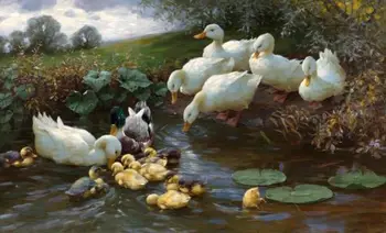Nice Oil painting Alexander Koester Family of Ducks at the Water lotus landscape
Nice Oil painting Alexander Koester Family of Ducks at the Water lotus landscape