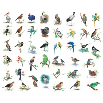 1 PCS Bird Watercolor Paint Korean Precut Decoration Stickers Desk Organizer School Supplies Office Accessories
1 PCS Bird Watercolor Paint Korean Precut Decoration Stickers Desk Organizer School Supplies Office Accessories