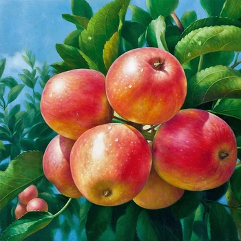 OLY Diamond Painting Fruit Apple Cross Stitch Patterns Full Diamond Painting Kit Mosaic Hobby Embroidery Home Decoration
OLY Diamond Painting Fruit Apple Cross Stitch Patterns Full Diamond Painting Kit Mosaic Hobby Embroidery Home Decoration