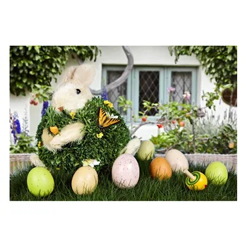 5X7FT Real Photo Background Happy Easter Eggs Rabbit Toy Decoration Mushroom Window Grass Children Photophone for Photo Shoots
5X7FT Real Photo Background Happy Easter Eggs Rabbit Toy Decoration Mushroom Window Grass Children Photophone for Photo Shoots