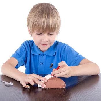 Children Shark Fossil Archaeology Excavation Science Toys Development Educational Toys For Children Christmas Gifts
Children Shark Fossil Archaeology Excavation Science Toys Development Educational Toys For Children Christmas Gifts