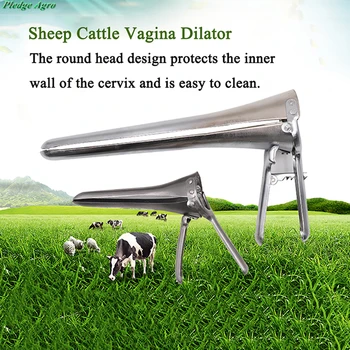 Dilator vaginal speculum cattle sheep equine mare breeding dairy postpartum examination delivery surgical tools instruments
Dilator vaginal speculum cattle sheep equine mare breeding dairy postpartum examination delivery surgical tools instruments