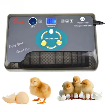 Automatic Egg Incubator 12 Eggs Incubator Brood Machine Chicken Duck Egg Hatcher Electronic Incubator Goose Bird Brooder Tools#2
Automatic Egg Incubator 12 Eggs Incubator Brood Machine Chicken Duck Egg Hatcher Electronic Incubator Goose Bird Brooder Tools#2