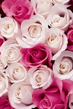 Custom washable wrinkle free fantasy rose flowers photography backdrops for wedding photo studio portrait backgrounds F-1107 
Custom washable wrinkle free fantasy rose flowers photography backdrops for wedding photo studio portrait backgrounds F-1107