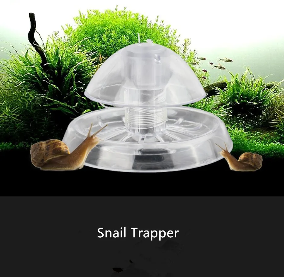 

1PC New Aquarium Fish Plant Tank Plastic Clear Snail Trap Catcher Plants Planarian Pest Catch Box Leech Environment Clean Tool