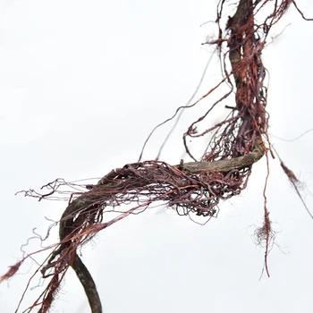 Artificial flower simulation Eucalyptus Rattan Fake trees indoor Wall mount Decorative plant garden decoration plantas
Artificial flower simulation Eucalyptus Rattan Fake trees indoor Wall mount Decorative plant garden decoration plantas