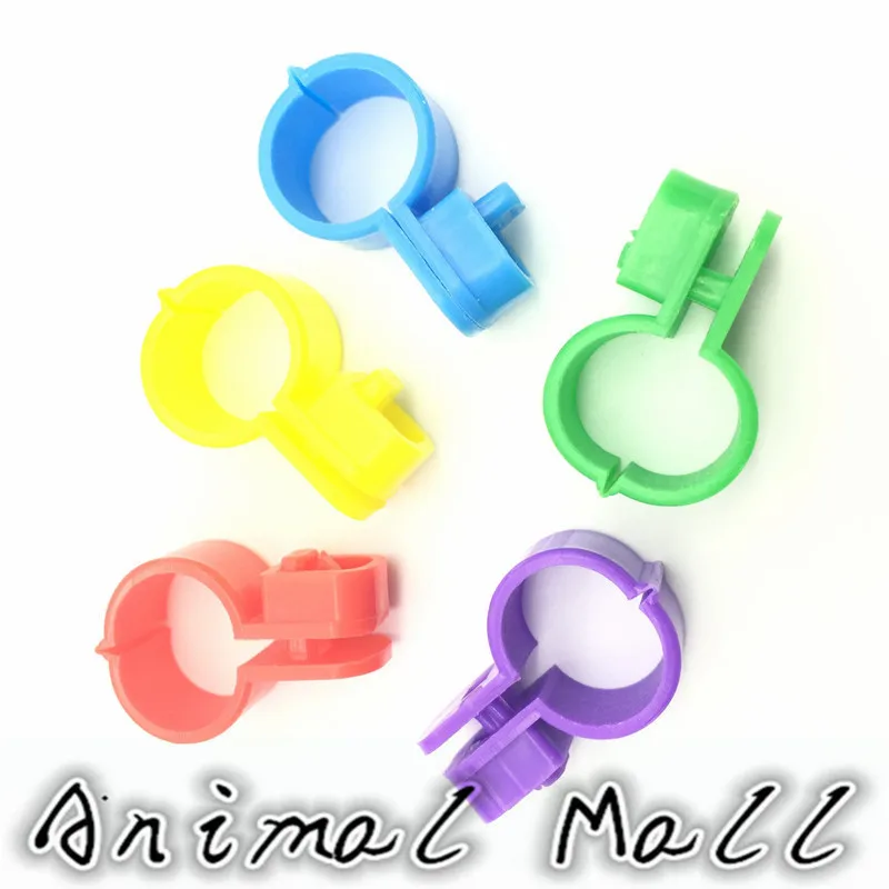 50 Pcs 5 Colors Opening Formula Okra Ring Bird Foot Ring Quail Parrot Pigeon Foot Ring Pet Birds Tool
50 Pcs 5 Colors Opening Formula Okra Ring Bird Foot Ring Quail Parrot Pigeon Foot Ring Pet Birds Tool