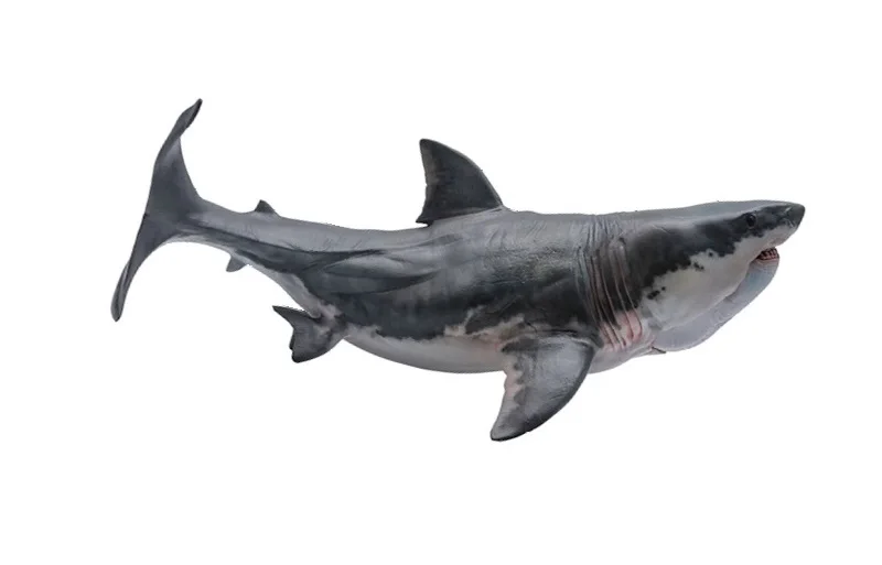 pnso megalodon toy