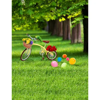 TR Spring Flowers Green Grass Tree Yellow Bike Wedding Children Custom Photography Studio Vinyl Cloth Backdrops Photo Background
TR Spring Flowers Green Grass Tree Yellow Bike Wedding Children Custom Photography Studio Vinyl Cloth Backdrops Photo Background