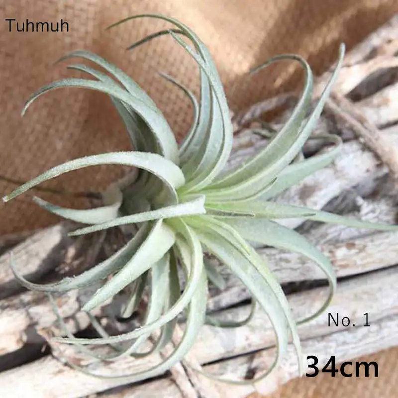 1 Pc Big 34cm Height Fake Pineapple Plants Artificial Succulent Grass Plants for Home Wall Hanging Wedding Decoration
1 Pc Big 34cm Height Fake Pineapple Plants Artificial Succulent Grass Plants for Home Wall Hanging Wedding Decoration