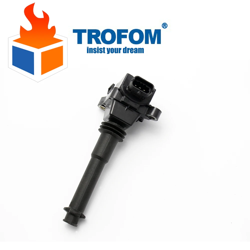 Auto Ignition Coil For POLARIS MSX 150 FST Dragon IQ FS 2006-2014 MSX 0221504021 1220703032
Auto Ignition Coil For POLARIS MSX 150 FST Dragon IQ FS 2006-2014 MSX 0221504021 1220703032